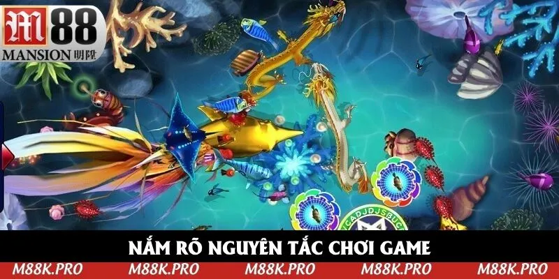 Nắm rõ nguyên tắc chơi game