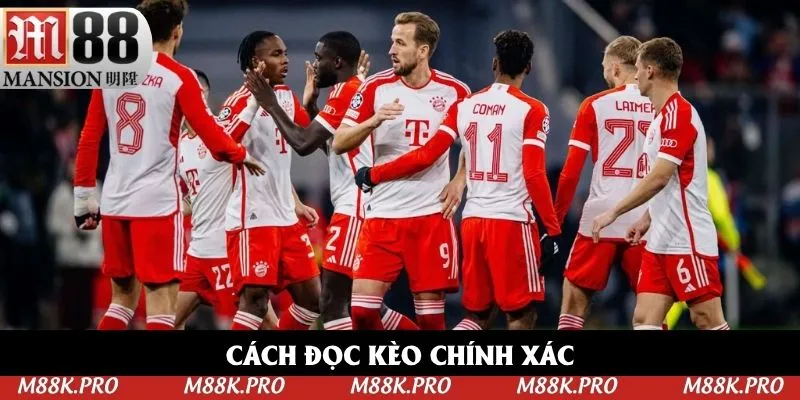 Cách đọc kèo chính xác theo chuyên gia
