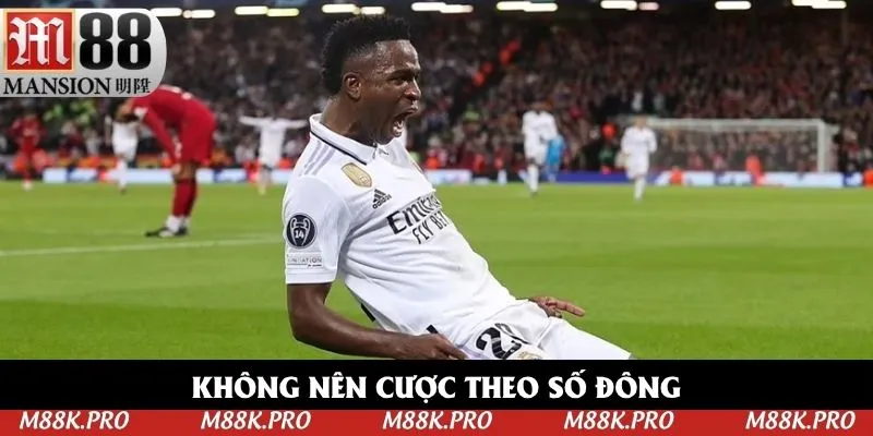 Không nên cược theo số đông bởi rủi ro rất cao
