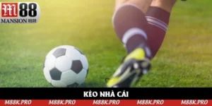 Kèo Nhà Cái M88 - Điểm Đến Số 1 Của Dân Chơi Cá Độ