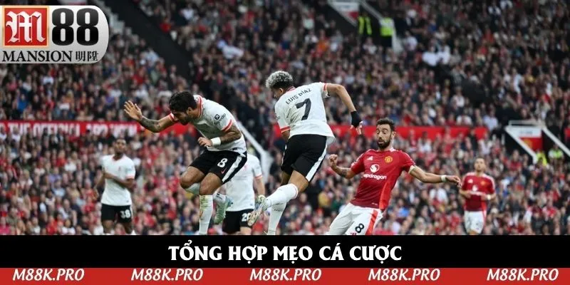 Tổng hợp những mẹo cá cược kèo nhà cái hiệu quả