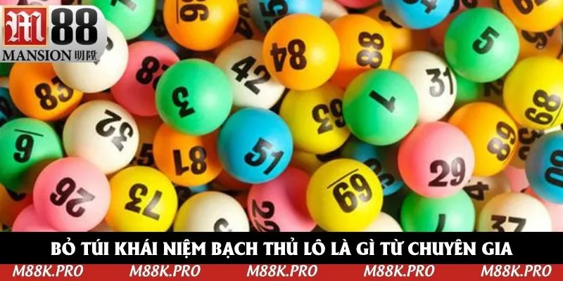 Bỏ túi khái niệm bạch thủ lô là gì từ chuyên gia