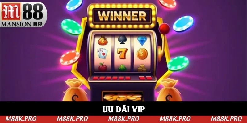 Ưu đãi VIP là đặc quyền dành cho bạn trung thành
