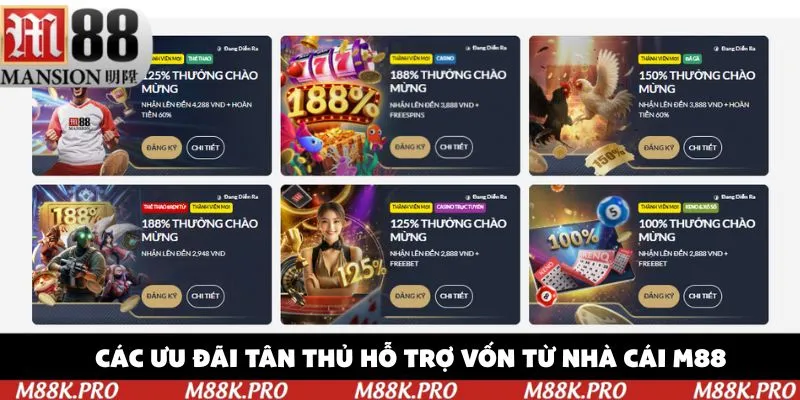 Các ưu đãi tân thủ hỗ trợ vốn từ nhà cái M88