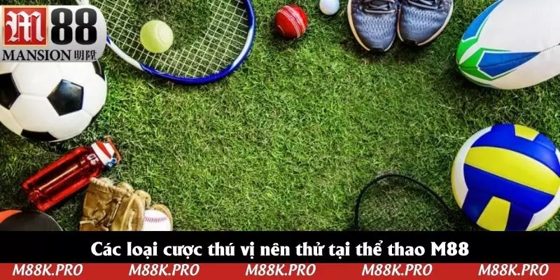 Các loại cược thú vị nên thử tại thể thao M88
