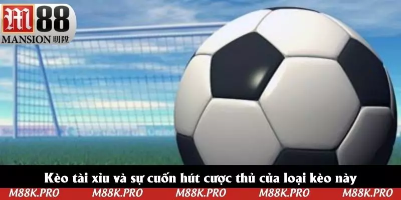 Kèo tài xỉu và sự cuốn hút cược thủ của loại kèo này